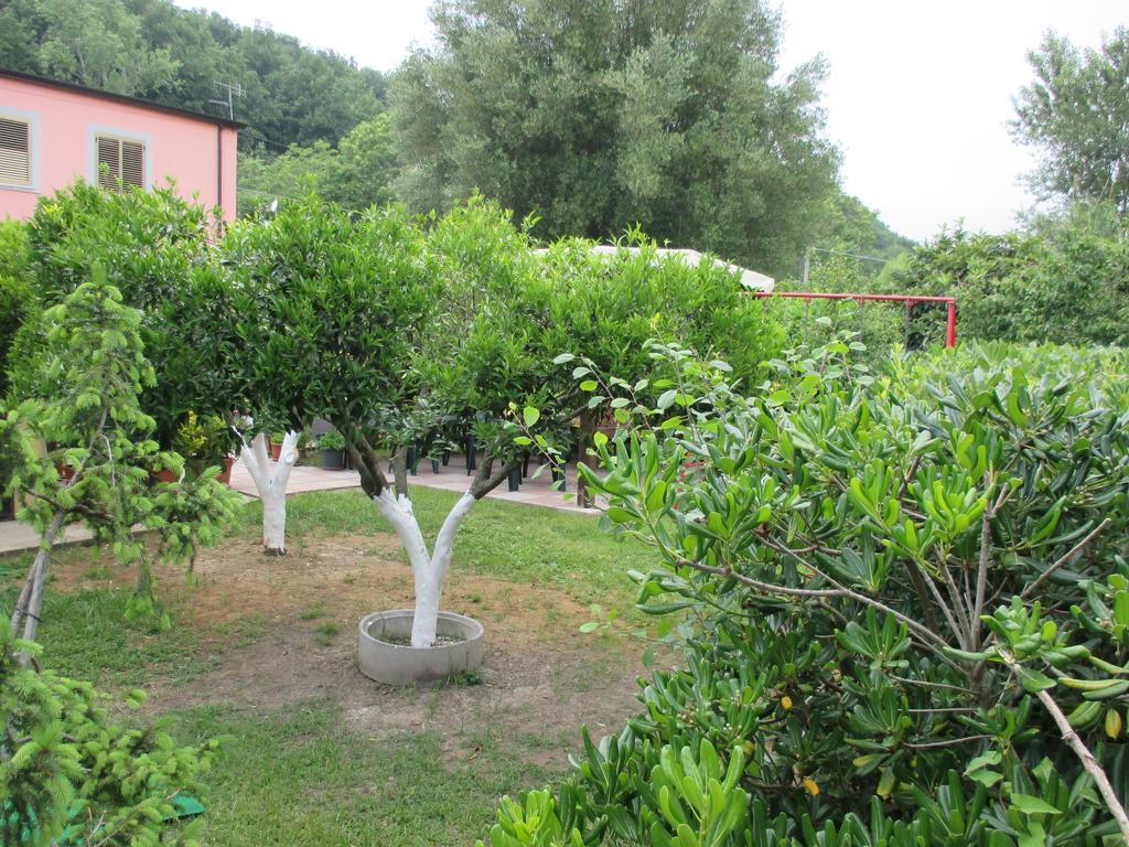 Palinuro Casa Vacanze "Donna Antonia" ภายนอก รูปภาพ